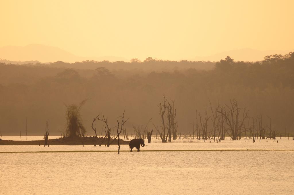 Hotel Evolve Back Kabini Begūr Exteriér fotografie